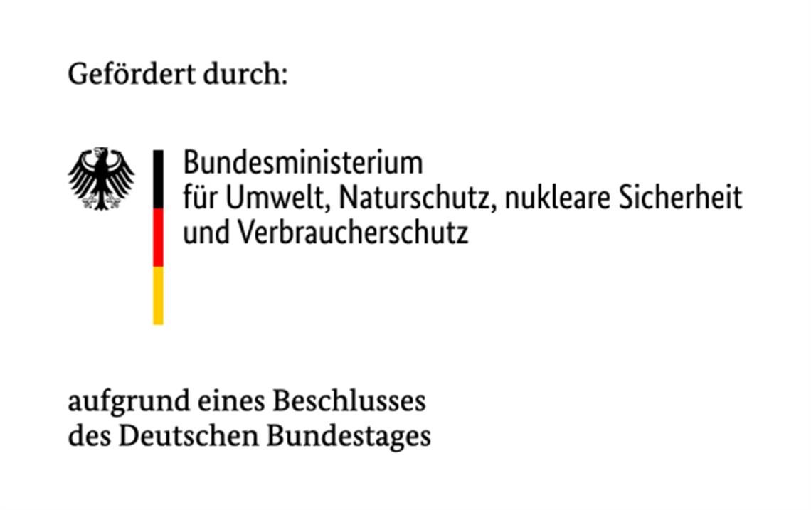 Klimaanpassung an der accadis International School: Projekt „AnpaSo FSP 1“