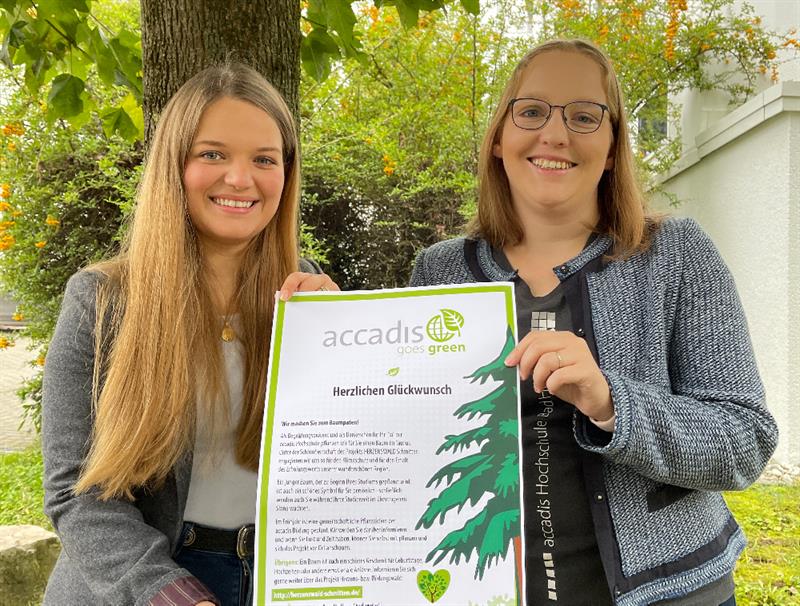 wiederaufforstung taunus bildungswald accadis